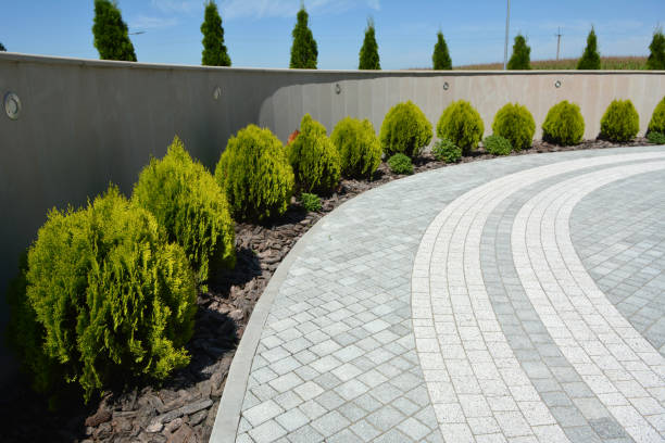 Best Concrete Paver Driveway  in Safety Harbor, FL