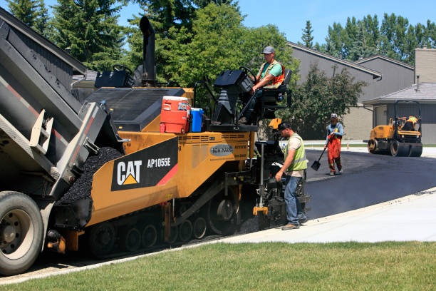Best Driveway Pavers Near Me  in Safety Harbor, FL